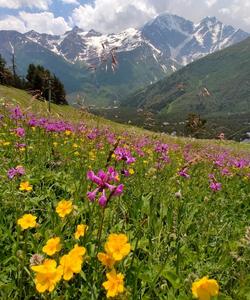 Тур в Кабардино-Балкарию