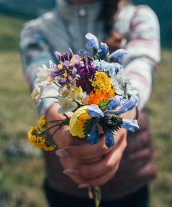 Горный Алтай