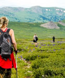 Треккинг на Алтае