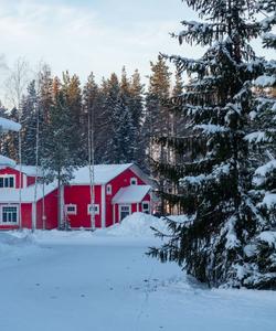 Вотчина Талвиукко