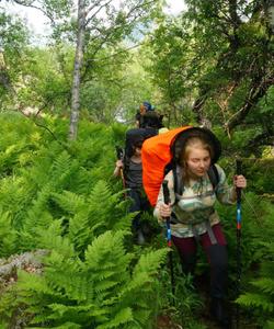 Ловозерские тундры