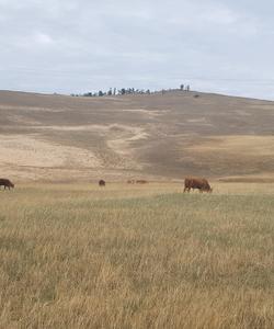 Остров Ольхон