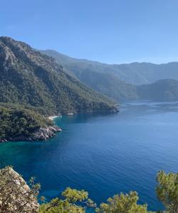 Местный пейзаж