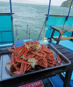 гастротур на Камчатку