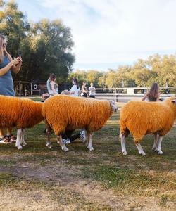 Парк чудес «Кудыкина гора»