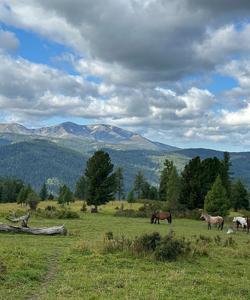 Местные пейзажи