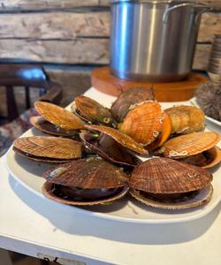 Поморская трапеза на Кольском