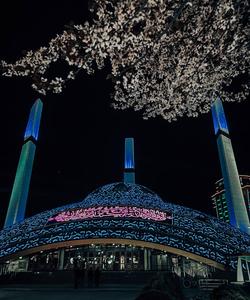 Тур на Кавказ