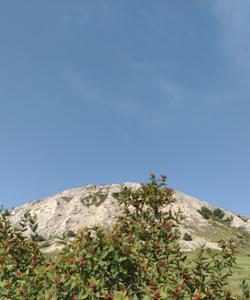 Гора Торатау