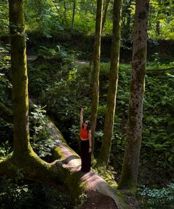 Ботанический сад 