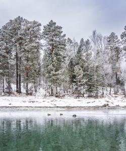 Голубые озера на Алтае