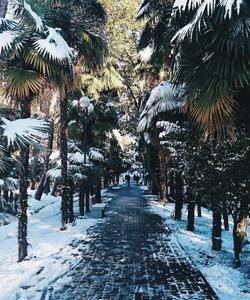 Зимняя сказка