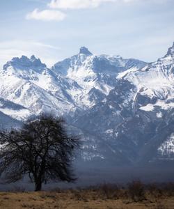 Местная природа и пейзажи 