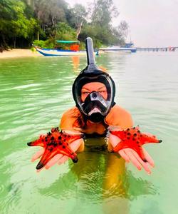 Морские звезды на острове Фукуок