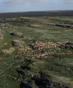 Джип-тур на полуострова Средний и Рыбачий