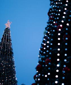 новогодняя ёлка в Самаре