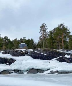 Местная природа и пейзажи