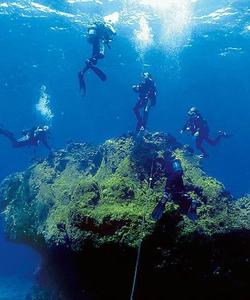 Дайвинг на острове Пасхи