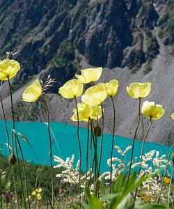 Каракабакские озёра