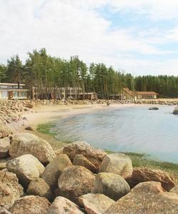 Финский залив