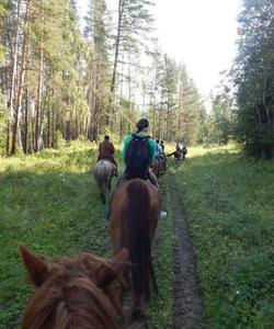 Конная прогулка