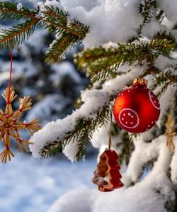 Новогодний тур