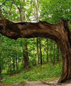 Парки в Подмосковье