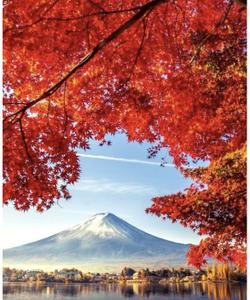 Красные клёны