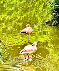 Сафари на острове Фукуок
