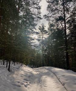 Лыжный поход в Марий Эл