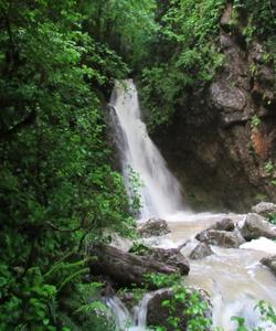 Ретрит в Краснодарском крае