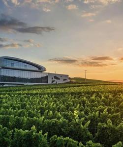 Скалистый берег