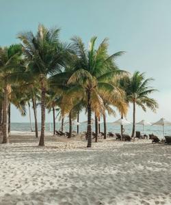 Пляж в Муйне