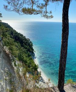 Местные пейзажи