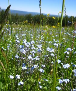 Тур в Башкирию