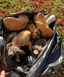 Тур на полуострова Средний и Рыбачий