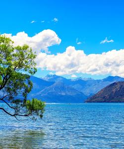 Озеро Ванака