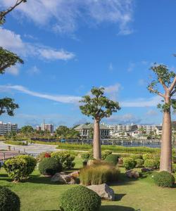 Парк Эко-Коридор в Брунее