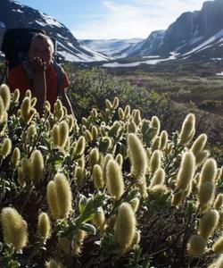 Треккинг по Ловозерским тундрам