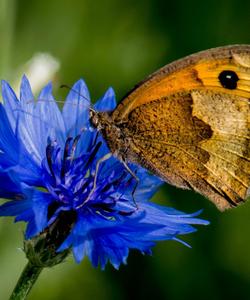 Тур в Башкирию