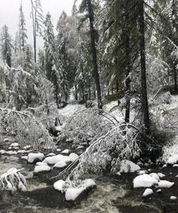 Тур в Тофаларию