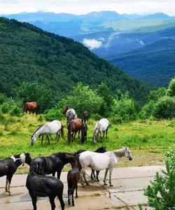 Горная Дигория