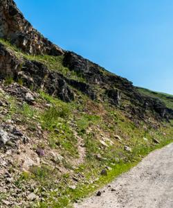 Местный пейзаж