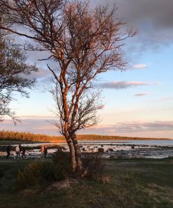 Тур на Соловки