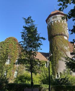 Архитектура