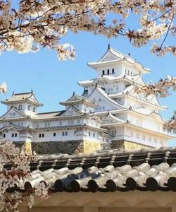 Замок Химедзи