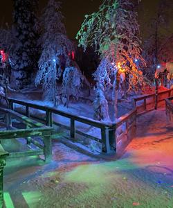 Таинственный лес, Мурманская область