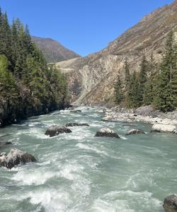 Тур по Алтаю