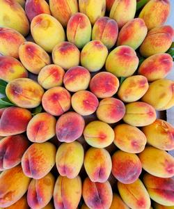 Тур в Дагестан