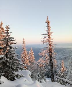 Гора Малиновая